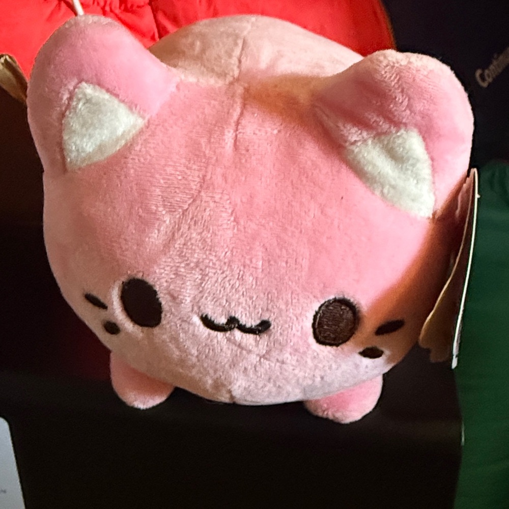 NWT Pink Kitty